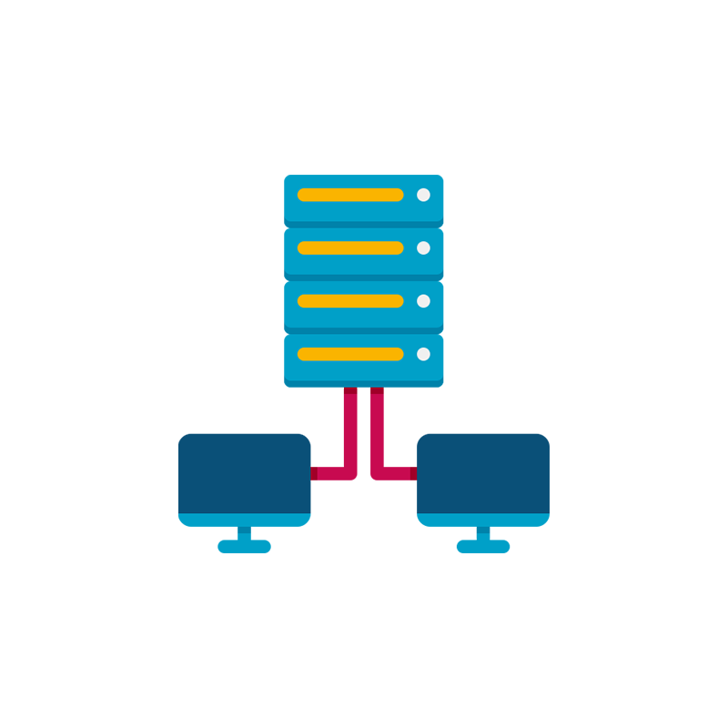 Permanent IP Assignment