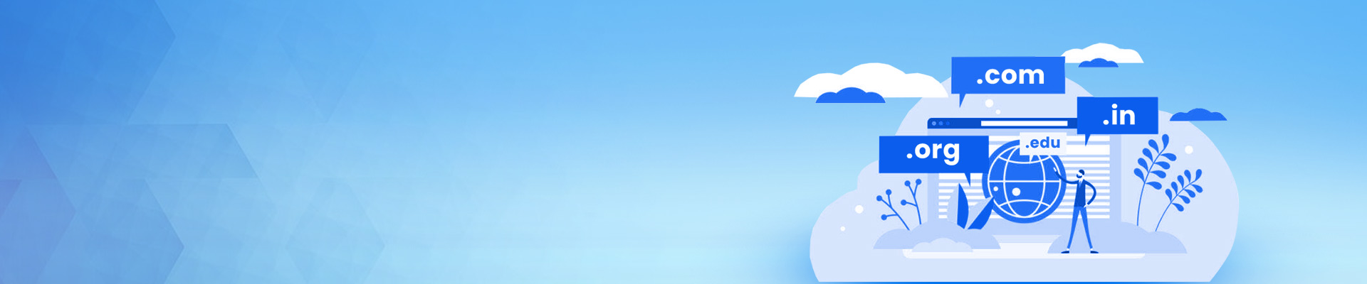 Domain Registration Services
