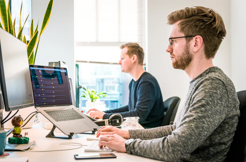 A team working together on laptops
