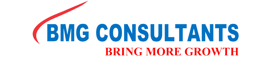BMG Consultants